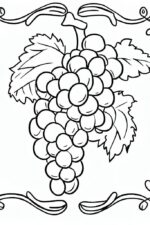 Üzüm uzum-boyama-3